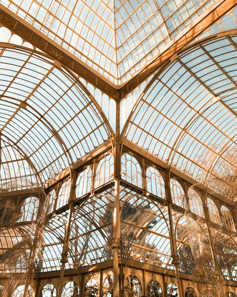 Sunlight coming through the glass panels and iron frame of a large domed conservatory ceiling